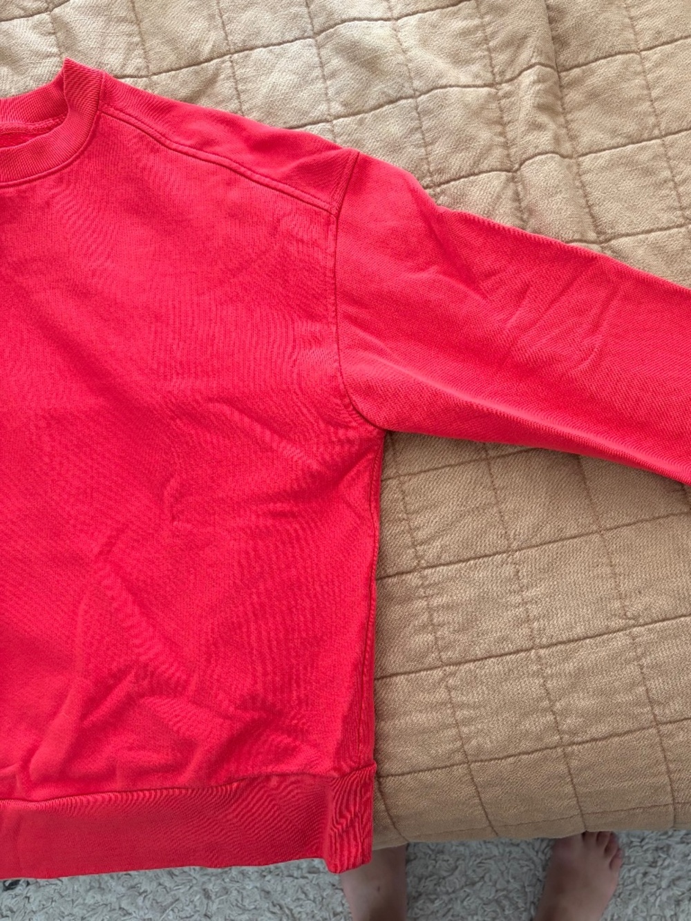Everlane Organic Cotton Crewneck - Picture 3 of 5